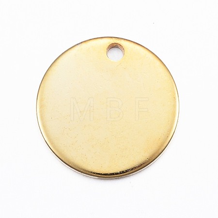 304 Stainless Steel Charms X1-STAS-G137-09G-1