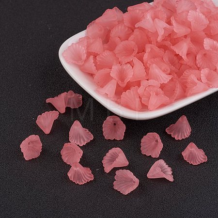 Transparent Acrylic Beads PL622-C10-1