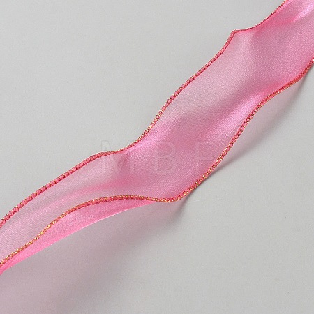 Polyester Mesh Ribbons SRIB-TAC0002-28A-02-1