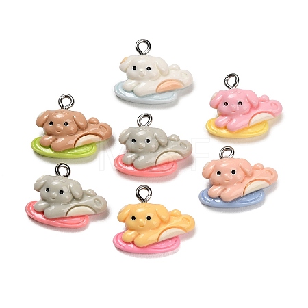 Opaque Resin Pendants RESI-B047-04-1