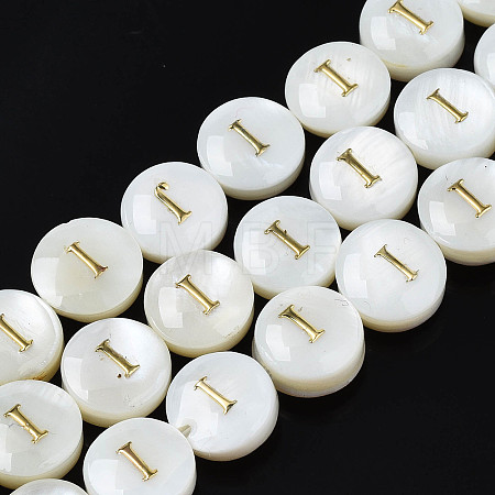Natural Freshwater Shell Beads SHEL-S276-168I-1
