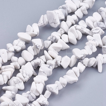 Natural Howlite Stone Bead Strands G-R192-15-1