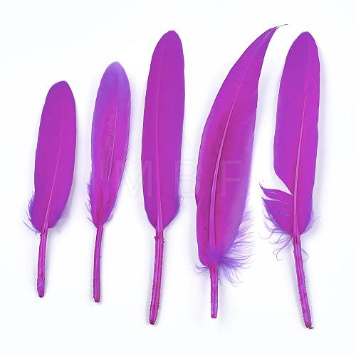 Goose Feather Costume Accessories FIND-T037-01I-1