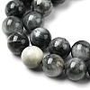 Natural Eagle Eye Stone Beads Strands G-G344-A05-8mm-4