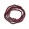 Natural Garnet Beads Strands X-G-I341-09A-3