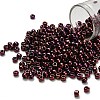 TOHO 6/0 Round Beads X-SEED-TR06-0502-1