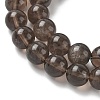 Natural Ice Obsidian Beads Strands G-P590-A03-10mm-01-4