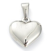 304 Stainless Steel Pendants X-STAS-P278-01R-P-2