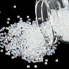 FGB 12/0 Grade A Round Glass Seed Beads SEED-A022-F13-533-1