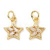 Brass Micro Pave Cubic Zirconia Charms ZIRC-A023-03LG-1