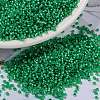 MIYUKI Round Rocailles Beads SEED-X0056-RR0646-1
