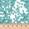 TOHO 6/0 Round Beads X-SEED-TR06-PF0569-4