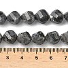 Natural Larvikite Beads Strands G-C267-B24-5