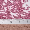 MIYUKI Delica Beads SEED-X0054-DB1742-4