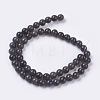 Natural Ice Obsidian Bead Strands G-E468-D01-6mm-2