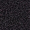 MIYUKI Round Rocailles Beads X-SEED-G007-RR2402-3
