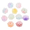 Gradient Color Luminous Transparent Resin Beads RE-CBAC4C7-17-2