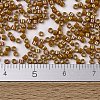 MIYUKI Delica Beads X-SEED-J020-DB2273-4