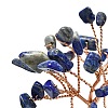 Natural Lapis Lazuli Chip Pachira Glabra Display Decorations DJEW-K025-04E-3