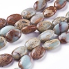 Natural Aqua Terra Jasper Beads Strands G-F612-05-1