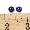 Dyed Natural Lapis Lazuli Cabochons G-Q173-01A-12-3
