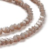 Glass Beads Strands GLAA-L031-01-C10-2