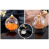 Handmade Blown Glass Globe Beads BLOW-TA0001-02B-19