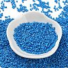Baking Paint Glass Seed Beads X-SEED-S042-05B-76-2