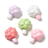 Opaque Resin Cabochons RESI-B017-01F-2