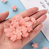 Transparent Acrylic Beads TACR-S152-02C-SS2109-5
