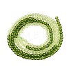 Transparent Glass Beads Strands GLAA-N074-01A-06-3