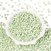 FGB Baking Paint Glass Seed Beads SEED-Q040-09A-10-2