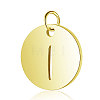 304 Stainless Steel Charms STAS-S105-T514G-I-1