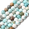 Natural Howlite Beads Strands G-L555-02-6mm-2