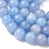 Dyed Natural Malaysia Jade Beads Strands G-G021-01D-07-3