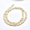 Shell Bead Strands SSHEL-P015-01B-8mm-2