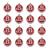 Platinum Plated Alloy Enamel Charms LS-ENAM-S118-03B-P-2