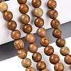 Natural Wooden Jasper/Wood Lace Stone Beads Strands G-Q601-13A-04-1
