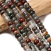 Natural African Bloodstone Beads Strands G-A280-A06-01-1