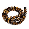Natural Tiger Eye Beads Strands X-G-J303-11-8mm-2