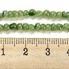 Natural White Shell Dyed Beads Strands BSHE-Z005-03E-4