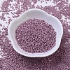 MIYUKI Delica Beads SEED-MY11-DB0253-2