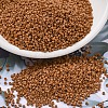 MIYUKI Delica Beads X-SEED-J020-DB2287-1