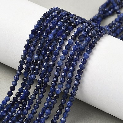 Natural Sodalite Beads Strands X-G-L622-C04-3mm-1