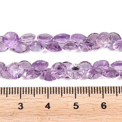 Natural Amethyst Beads Strands G-Z152-B01-01-1