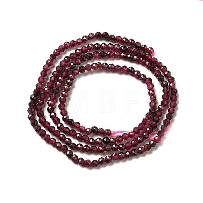 Natural Garnet Beads Strands X-G-I341-09A-1