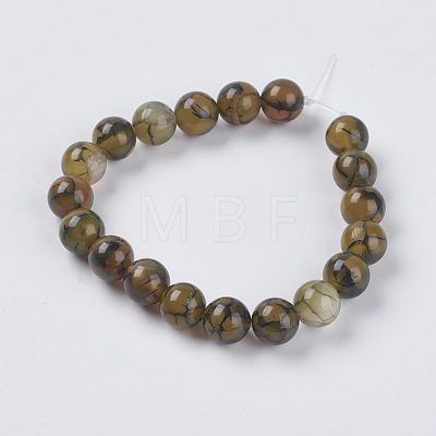 Natural Dragon Veins Agate Beads Strands X-G-G515-10mm-02B-1