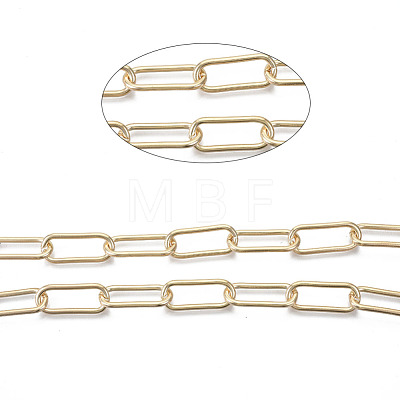 Unwelded Iron Paperclip Chains CH-S125-14A-05-1