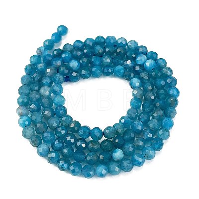 Natural Apatite Beads Strands G-Z057-B02-02-1