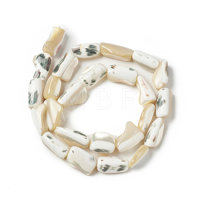 Natural Trochid Shell/Trochus Shell Beads Strands SHEL-F004-12-1